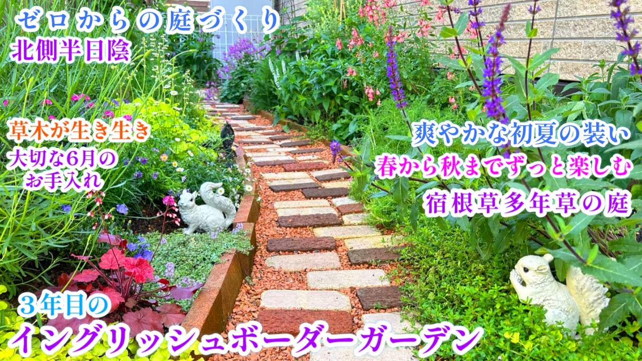 【爽やかな初夏のイングリッシュボーダーガーデン＊北側半日陰の庭づくり】【宿根草多年草＆ハーブで彩るローメンテナンスな庭】【植物を元気に♪６月のお手入れ】ガーデニング/ハーブ/ダリア