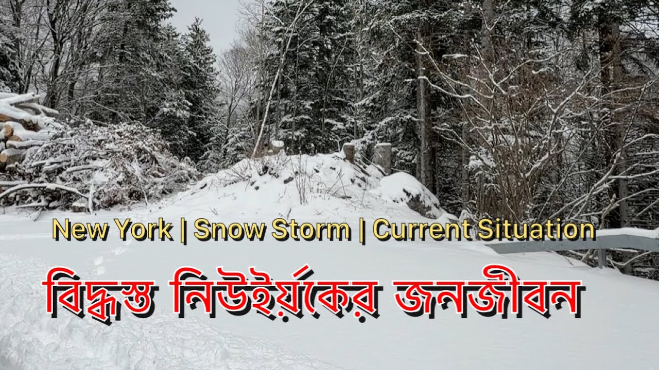নিউইর্য়কে বিদ্ধস্ত জনজীবন । New York | Snow Storm | Current Situation | Tanvir Shake
