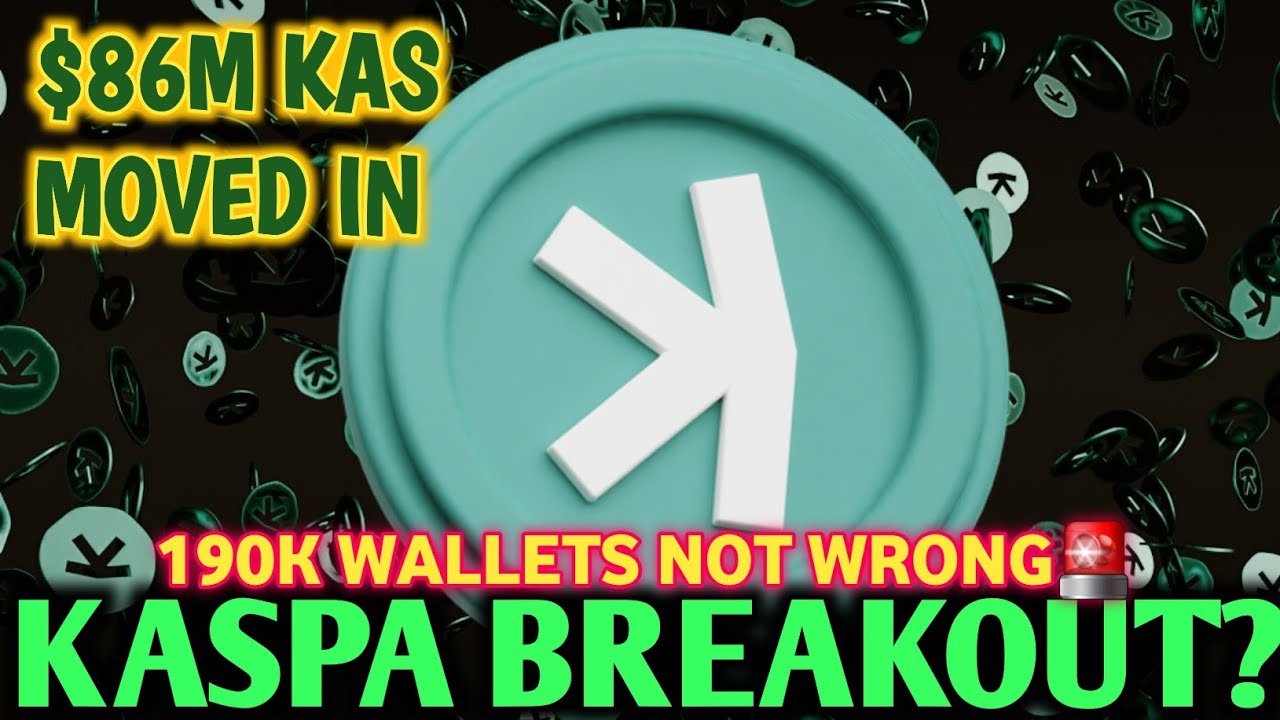Po cichu skumulowano 86 mln USD w KAS &mdash; czy aktualizacja Kaspa Toccata to największy katalizator ...