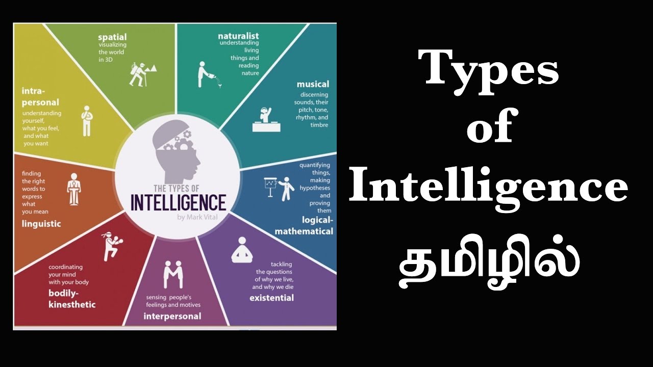 Types of Intelligence & Theories of Intelligence  (EP39) Basic Psychology in Tamil