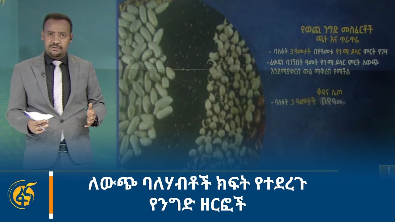 ለውጭ ባለሃብቶች ክፍት የተደረጉ የንግድ ዘርፎች