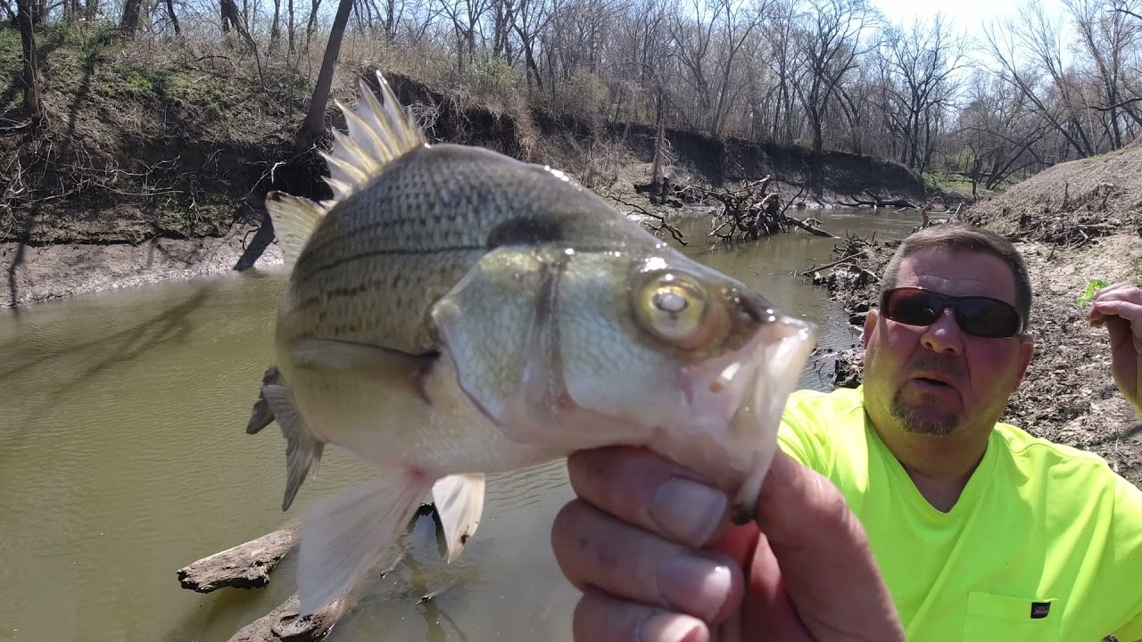 OFF the SNAG Creek Fishing...100 snags and 200 fish... 2022 White Bass Run/Spawn.
