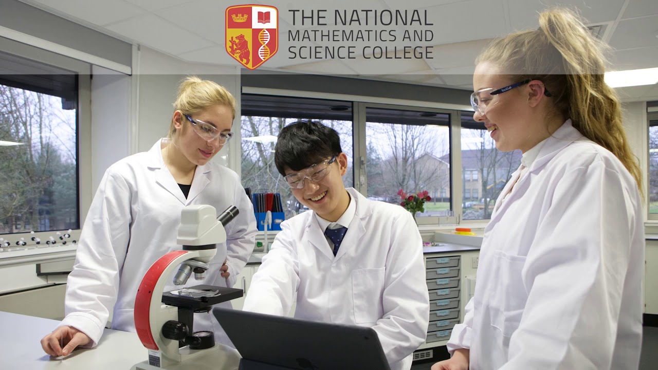 The National Mathematics and Science College Interview