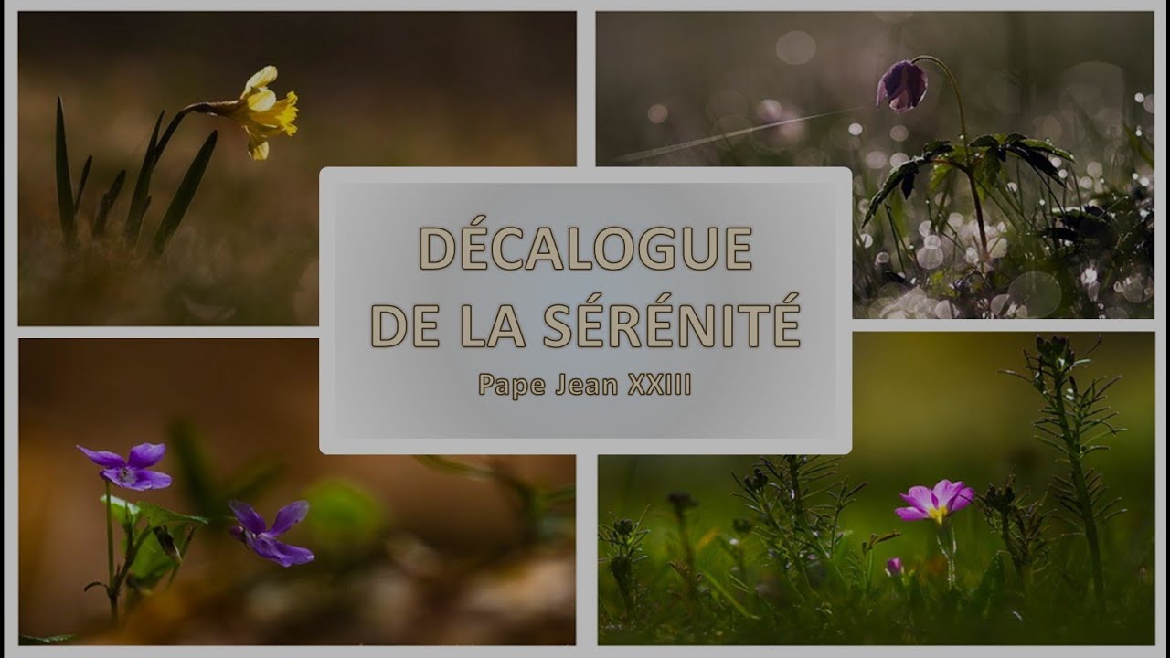 Décalogue de la sérénité - pape Jean XXIII