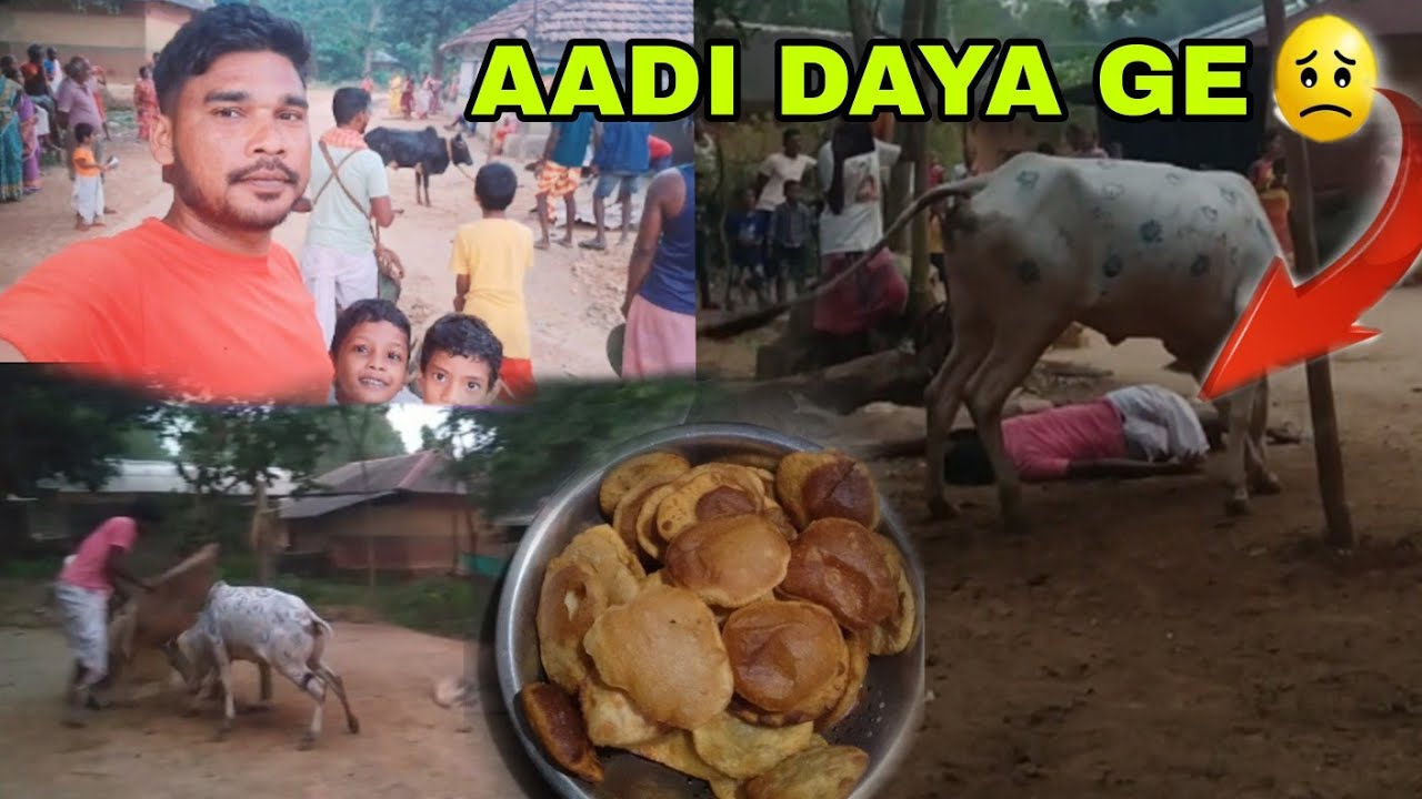 Aale aatu dangra khuntaw//santali vlog video #saginpera