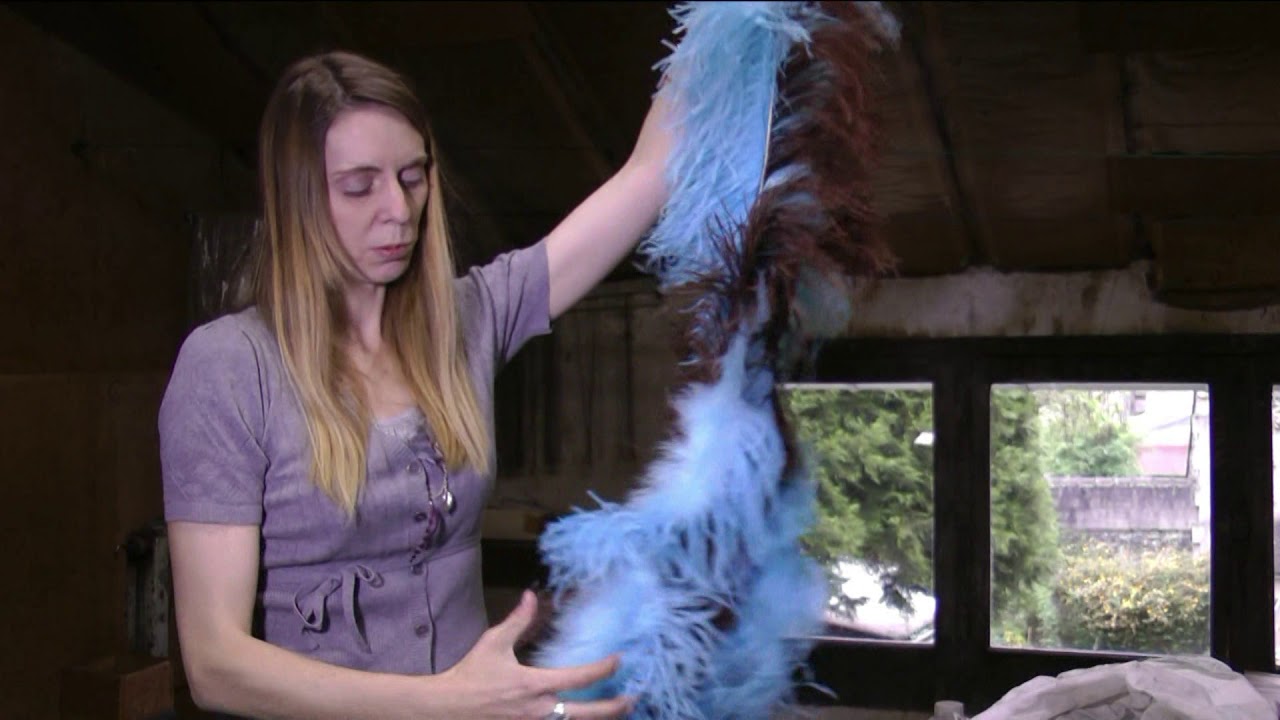 Histoire de plumes. 2011