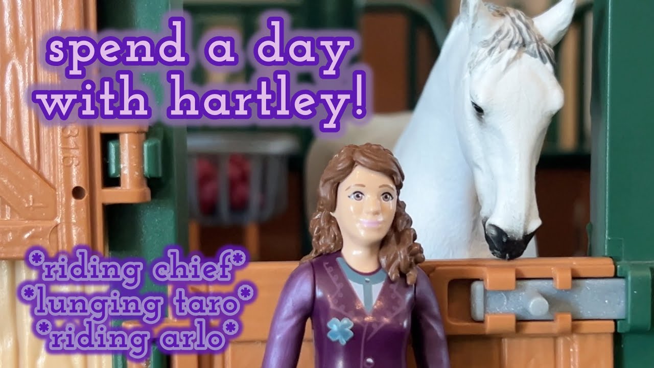 spend the day with hartley!! *aka hang out with horses all day* |Sapphire Stables|
