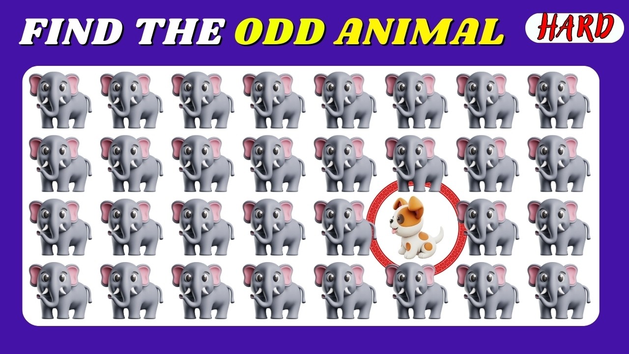 99% FAIL This Animal Challenge 🐵🔥 | Find the Odd One | Kitty Quiz