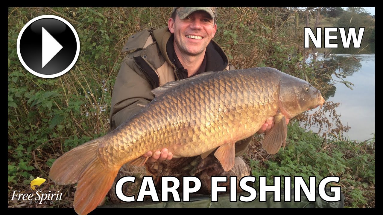 CARP FISHING - FREE SPIRIT RODS: Short-to-Medium Range