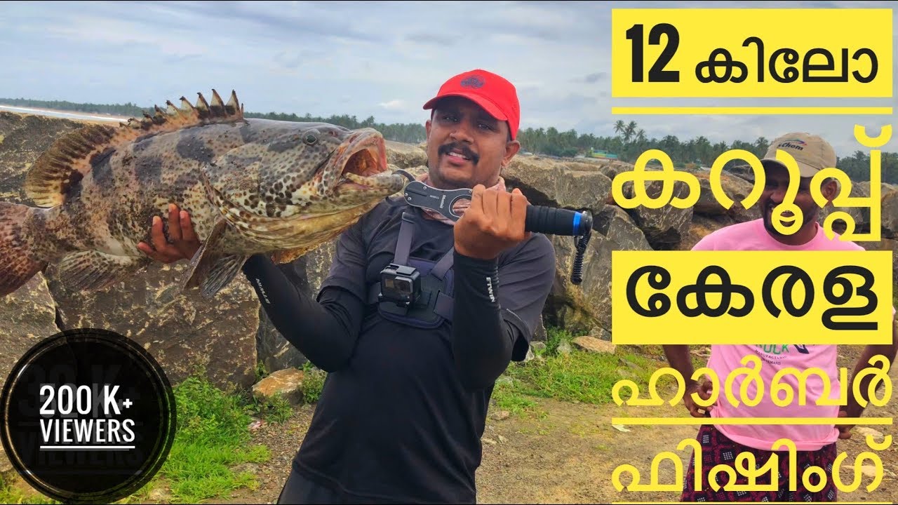 12 കിലോ കറൂപ്പ് | caught a monster grouper from Kerala Harbour