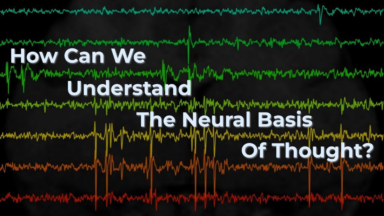 How can we understand the neural basis of thought?