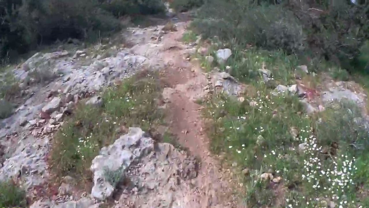 סינגלים טכניים עופר שבילי רון קמיקזה עם Cycology