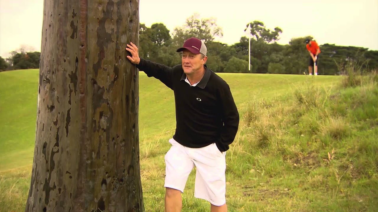 Golf Getaway at Victoria Golf Club - Jack Nicklaus' tree