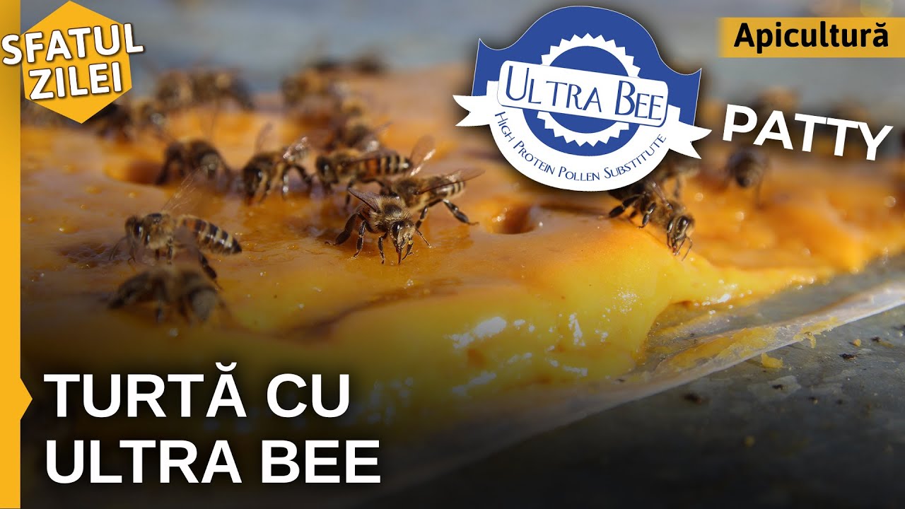 TURTA PROTEICA. Cand este permisa administrarea?
