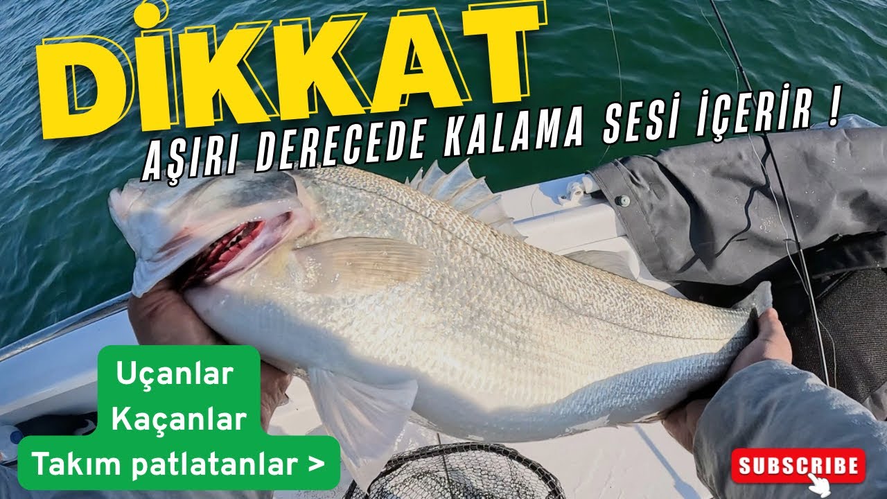 UÇANLAR, KAÇANLAR MÜKEMMEL LEVREK AVI