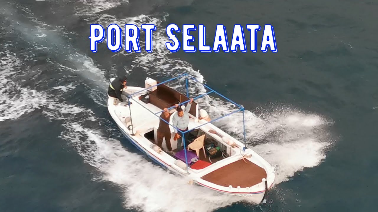 Selaata