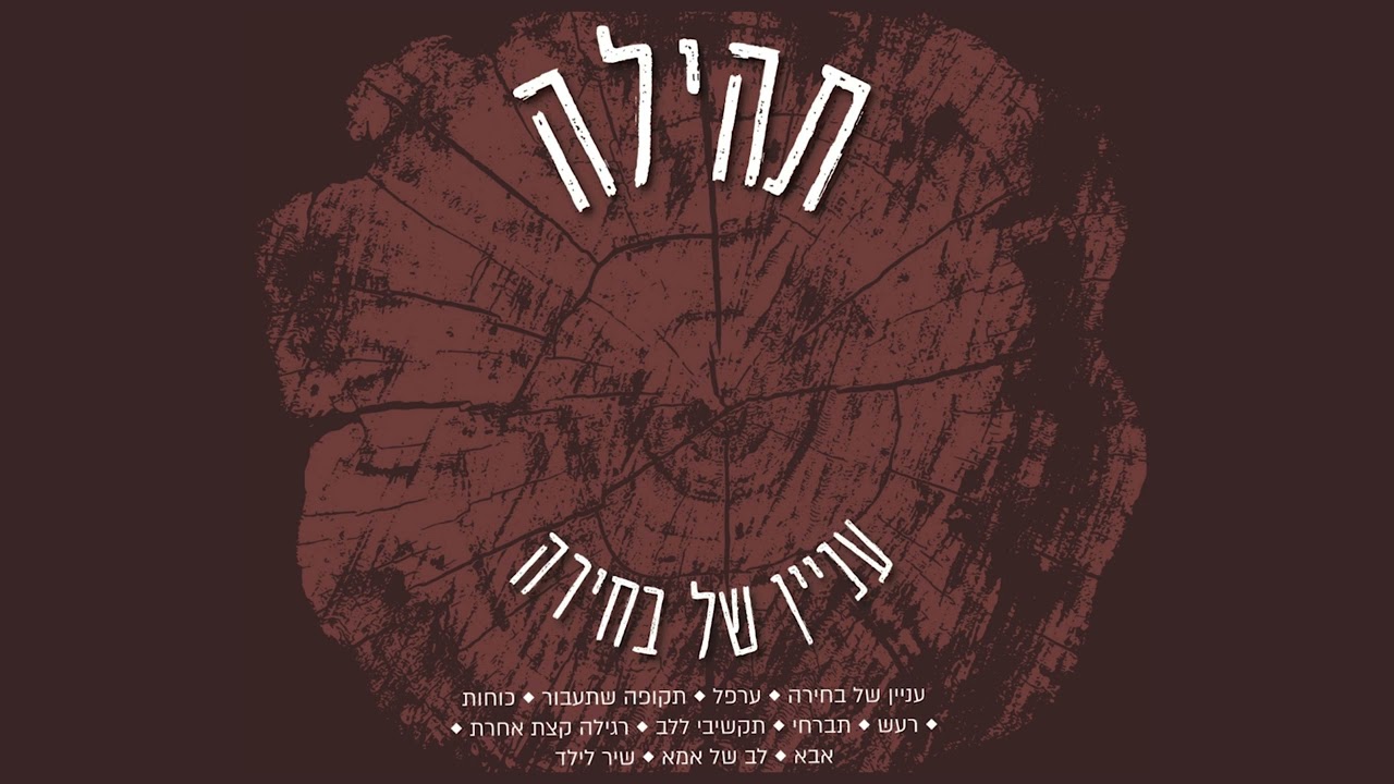 תהילה סממה - רעש