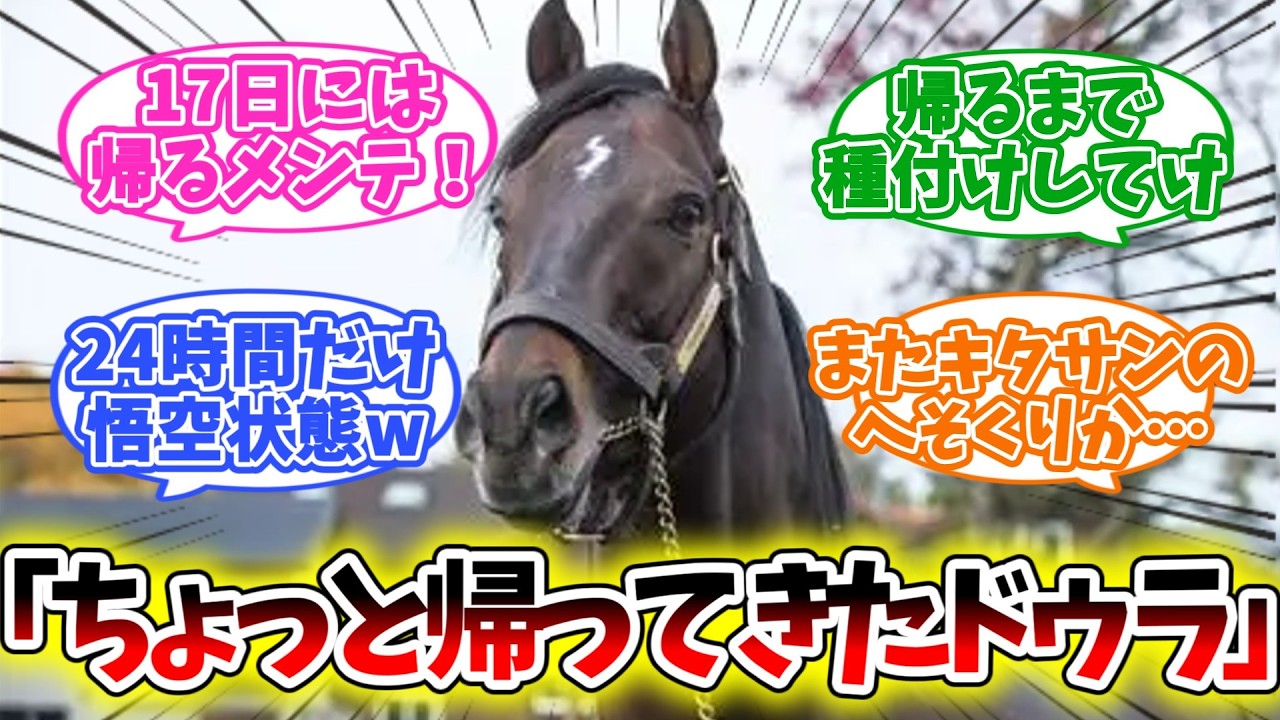 【ドゥラメンテ】「お彼岸に帰ってきた結果www」【競馬】