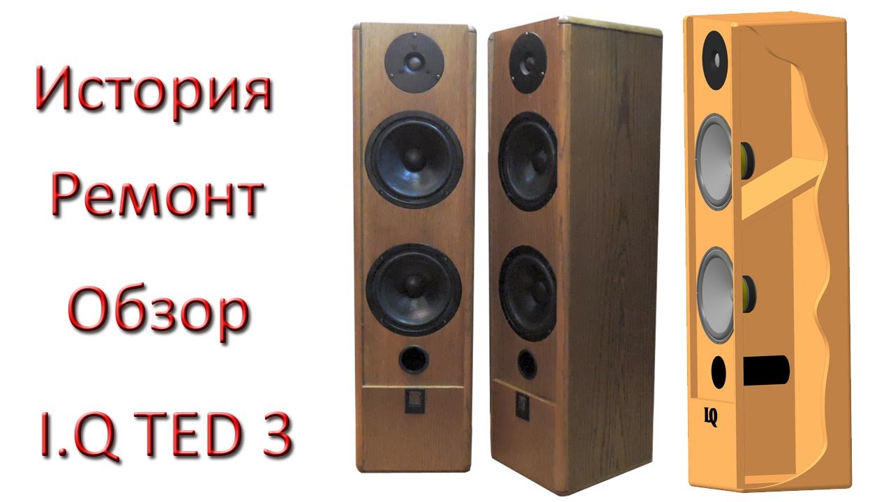 I.Q TED 3 ‒ актуальны несмотря на возраст