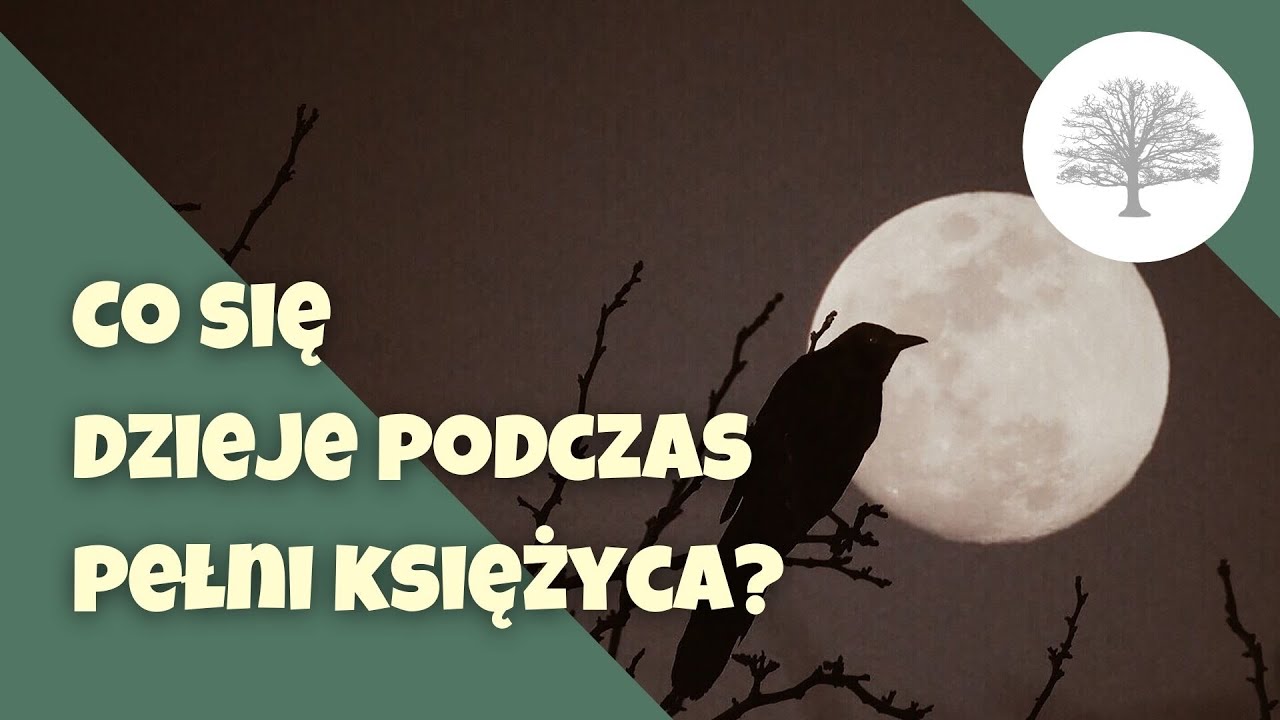 Na co WPŁYWA PEŁNIA KSIĘŻYCA?