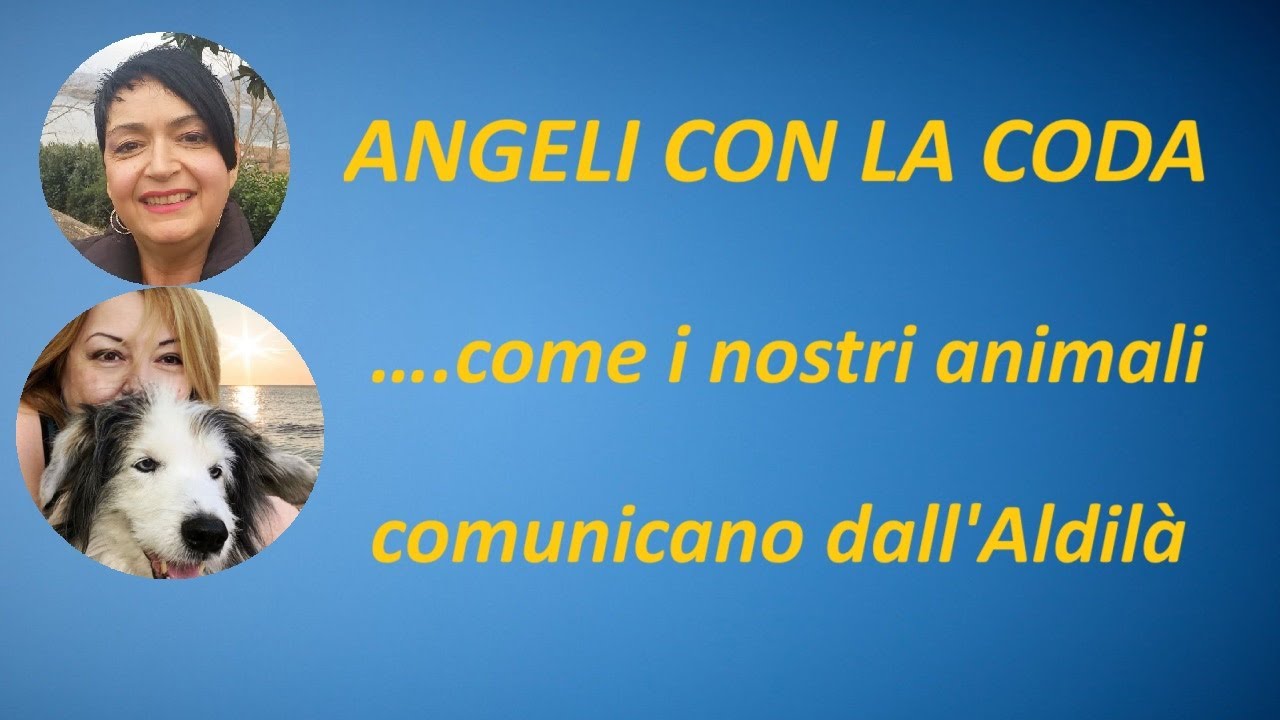 ANGELI CON LA CODA… come i nostri animali comunicano dall’Aldilà