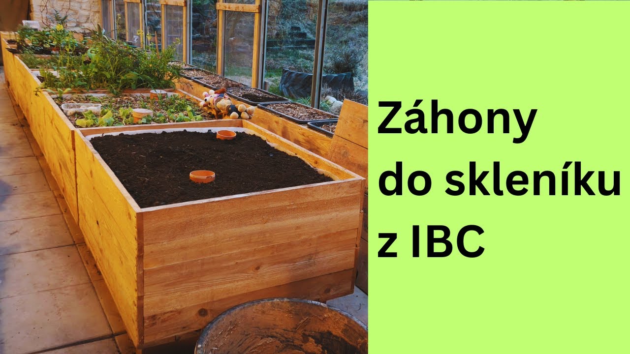 Záhony do skleníku z IBC kontejnerů