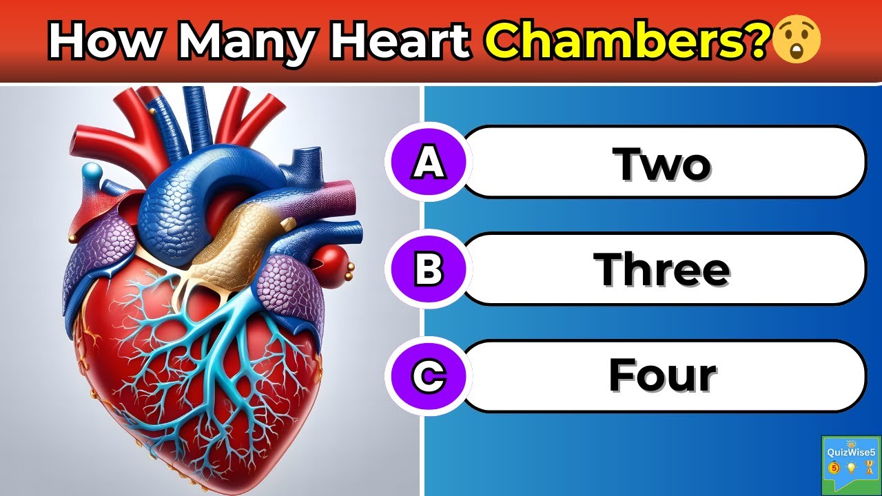 🧠 Human Biology Quiz Challenge | Can You Answer These Human Body Questions? 🤔
