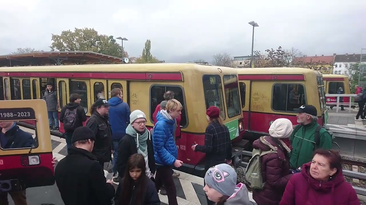 BR 485 12.11.2023 BERLIN SCHÖNEWEIDE ABSCHIED DER COLADOSE