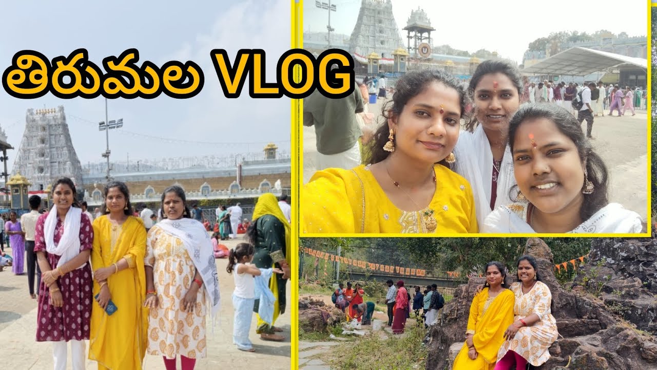 Divine Journey to Thirumala | Lord Venkateswara Darshan Vlog