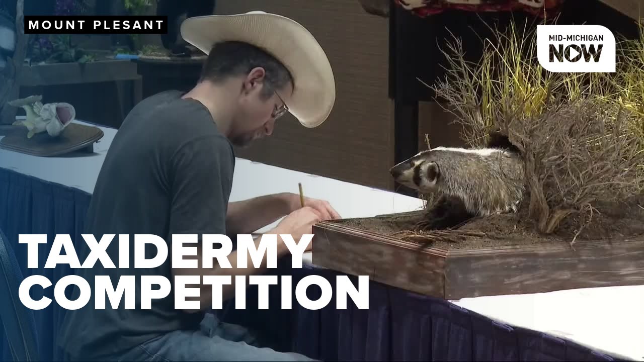 Michigan taxidermy competition fosters community and inspires future champions