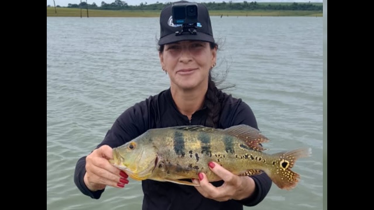 PARTE 2- ABOBORÁ PESCARIA DE TUCUNARÉ E PORQUINHOS