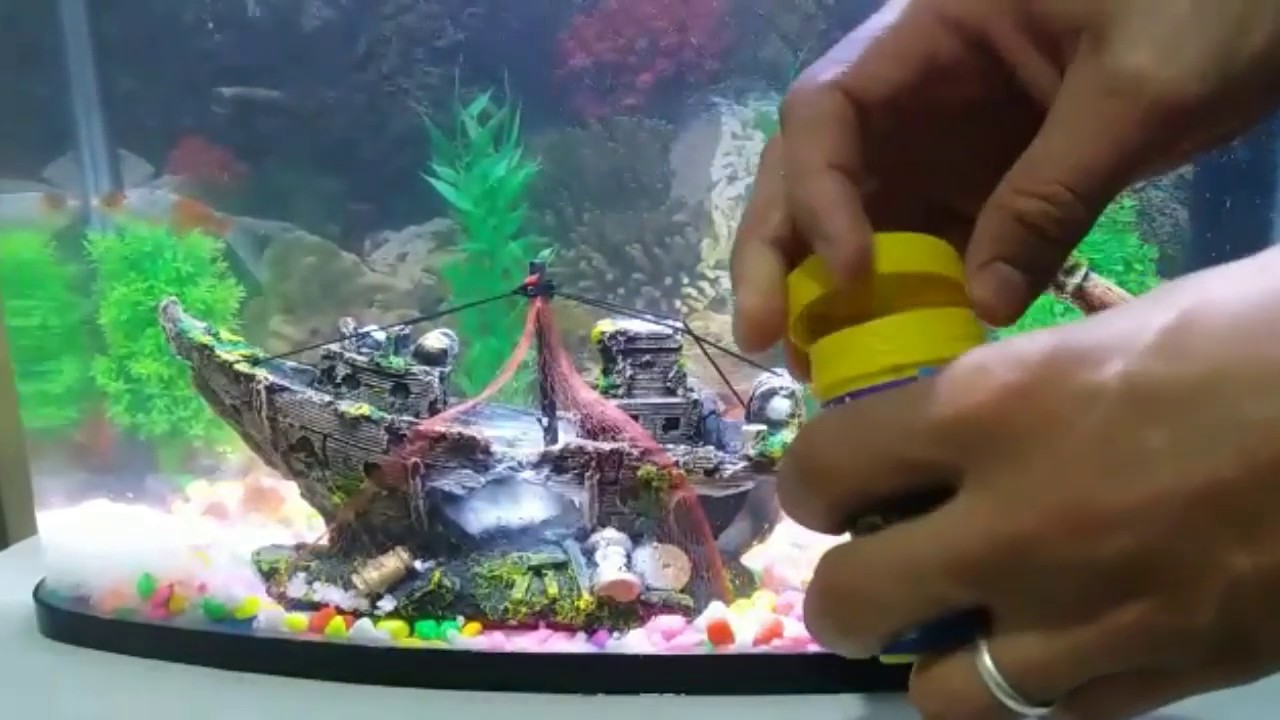كيفية تجهيز حوض الأسماك داخل المنزل بإيقاع الحسون الخلوي Equipping the fish tank inside the house