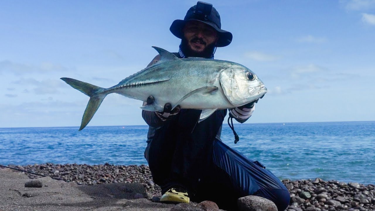 Perfect Weather, Perfect Catch! | Inshore Fishing in the Caribbean |  Saba, Dutch Caribbean | 2024