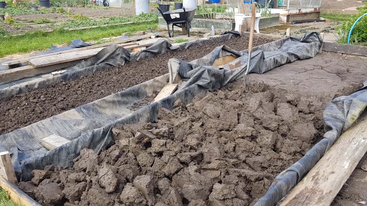 Allotment Journal - New Beds on plot 2 - 13th of April.
