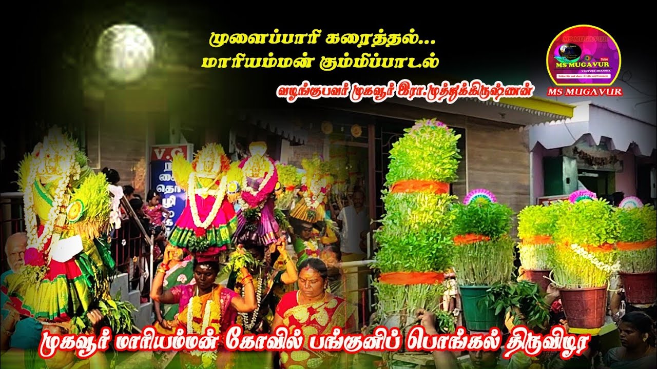 முளைப்பாரி கரைத்தல் ... மாரியம்மன் கும்மி பாடல்.( முகவூர் தீச்சட்டி திருவிழா ).