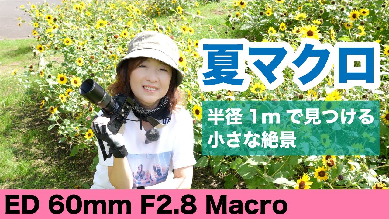 【M.ZUIKO DIGITAL ED 60mm F2.8 Macro】で半径1mのマクロな世界を見つける♪