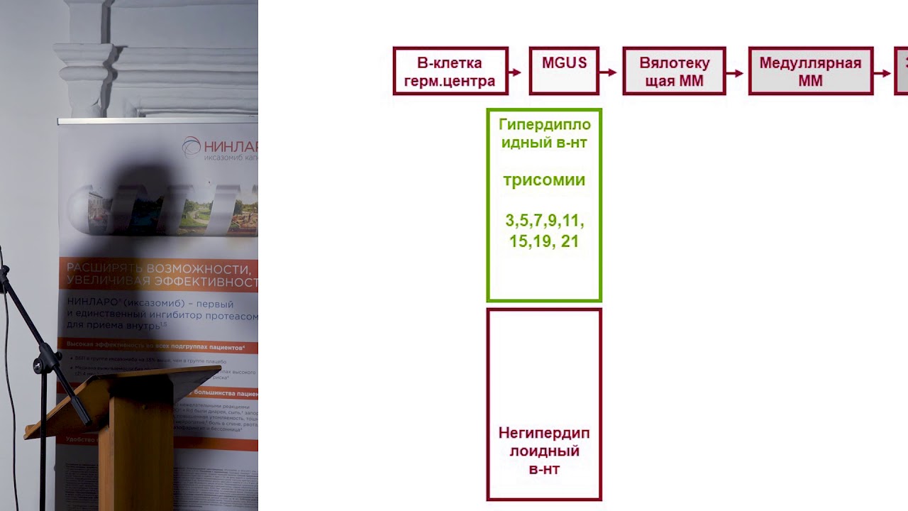 Байков В. В. Уроки миеломной болезни биохимия, морфология, генетика