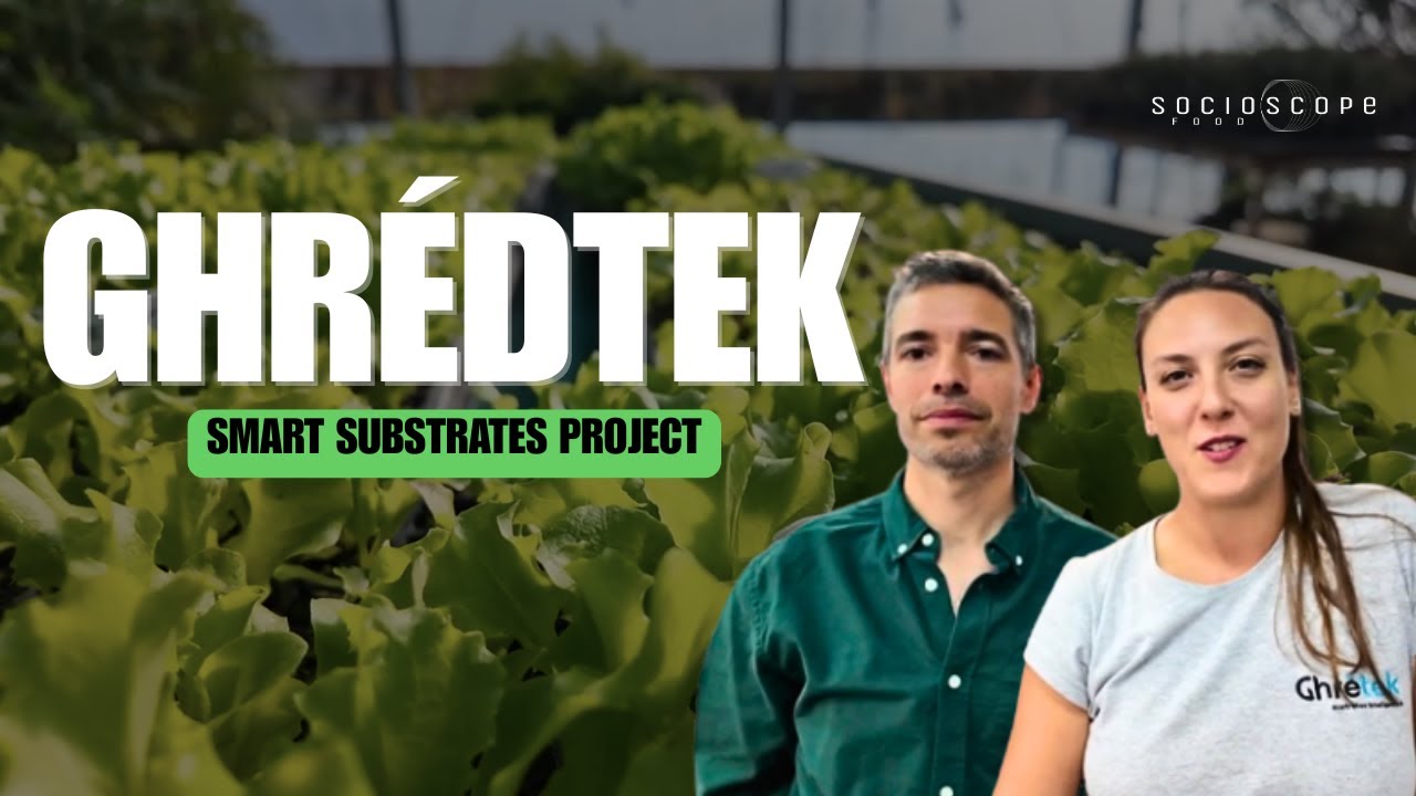 Your Substrate Choice Directly Impacts Your Final Yield – Ghrétek (Mendoza, Argentina)