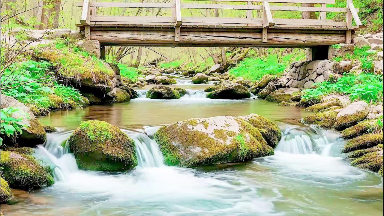 Gentle River Sound for Deep Sleep | Soothing Audio Therapy for Mental Wellness