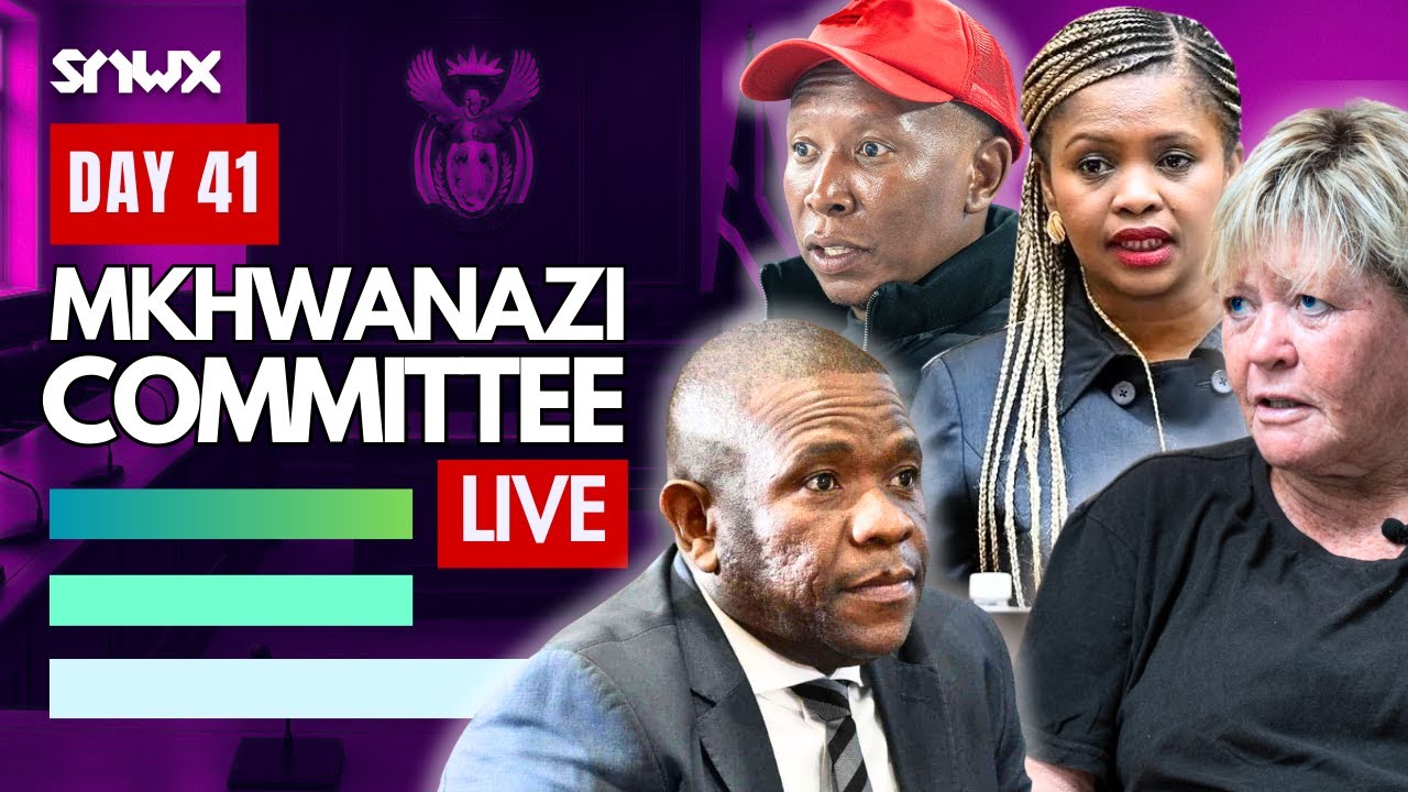 Mkhwanazi Ad Hoc hears evidence from 4 witnesses