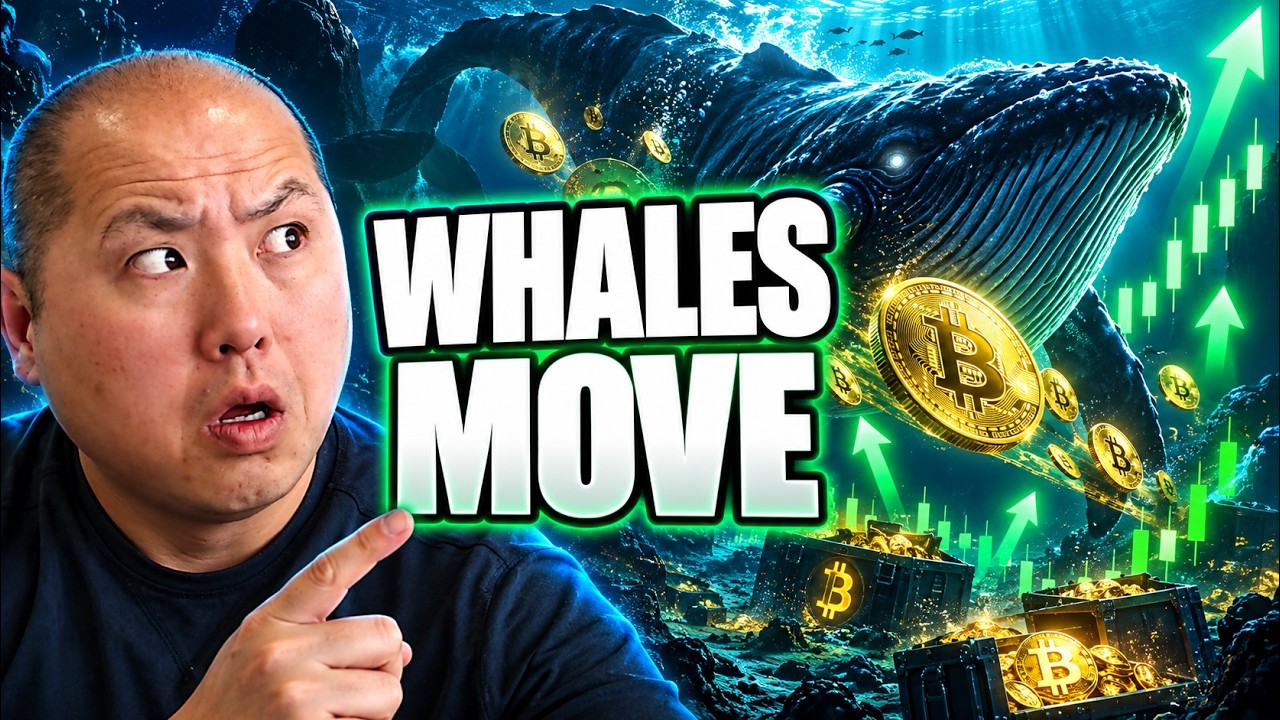 Bitcoin Whales Are Quietly Making Their Move