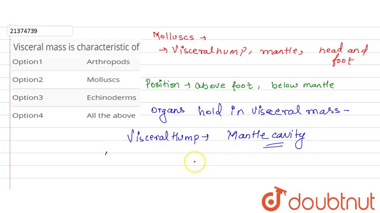 Visceral mass is characteristic of