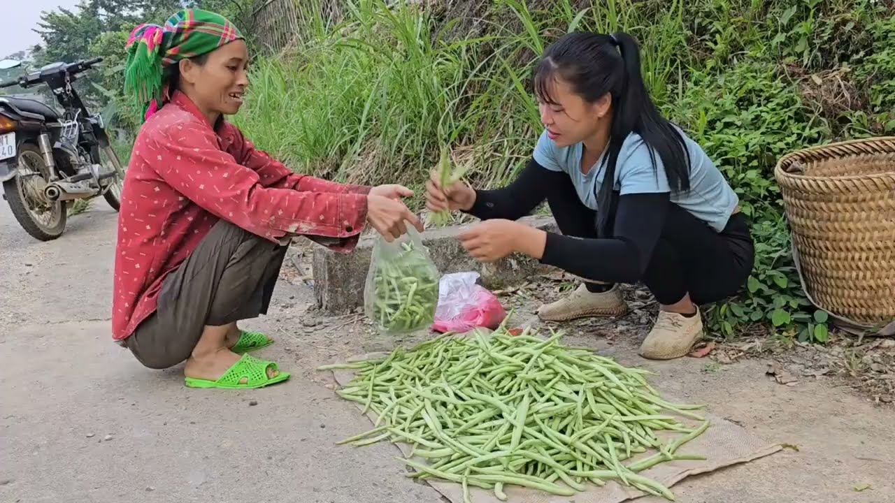 TIMELAPSE: Harvesting Happiness One Crop at a Time in Linh's Life