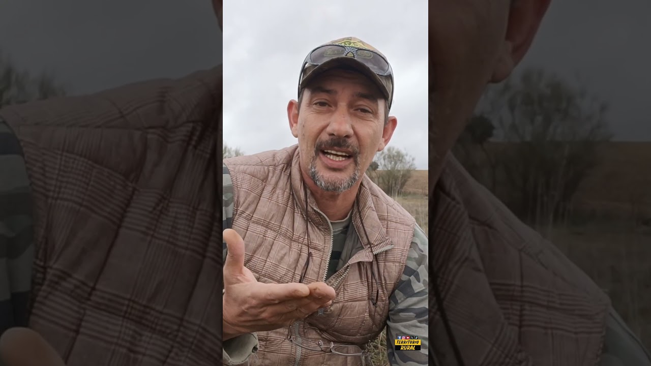 La Urraca Supersolidaria #trnnoticias