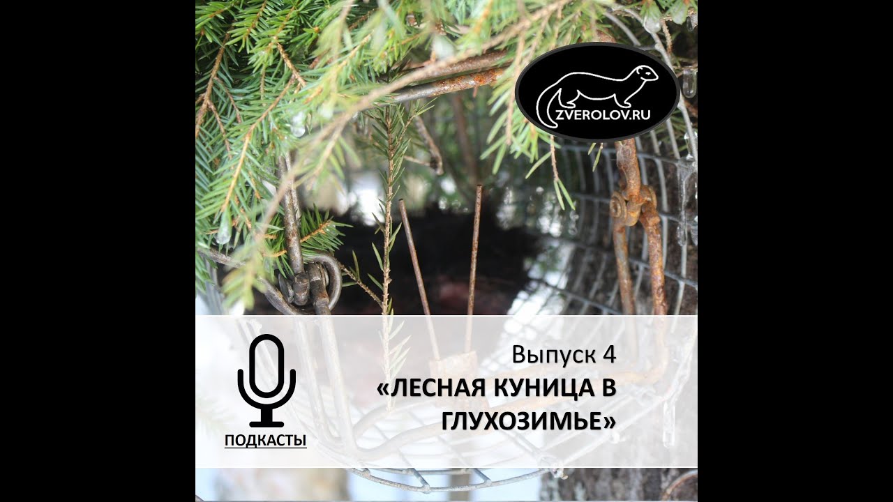 Подкаст ЗВЕРОЛОВ Выпуск 4 