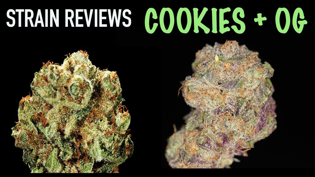 ANIMAL COOKIES X TRUE OG STRAIN REVIEWS