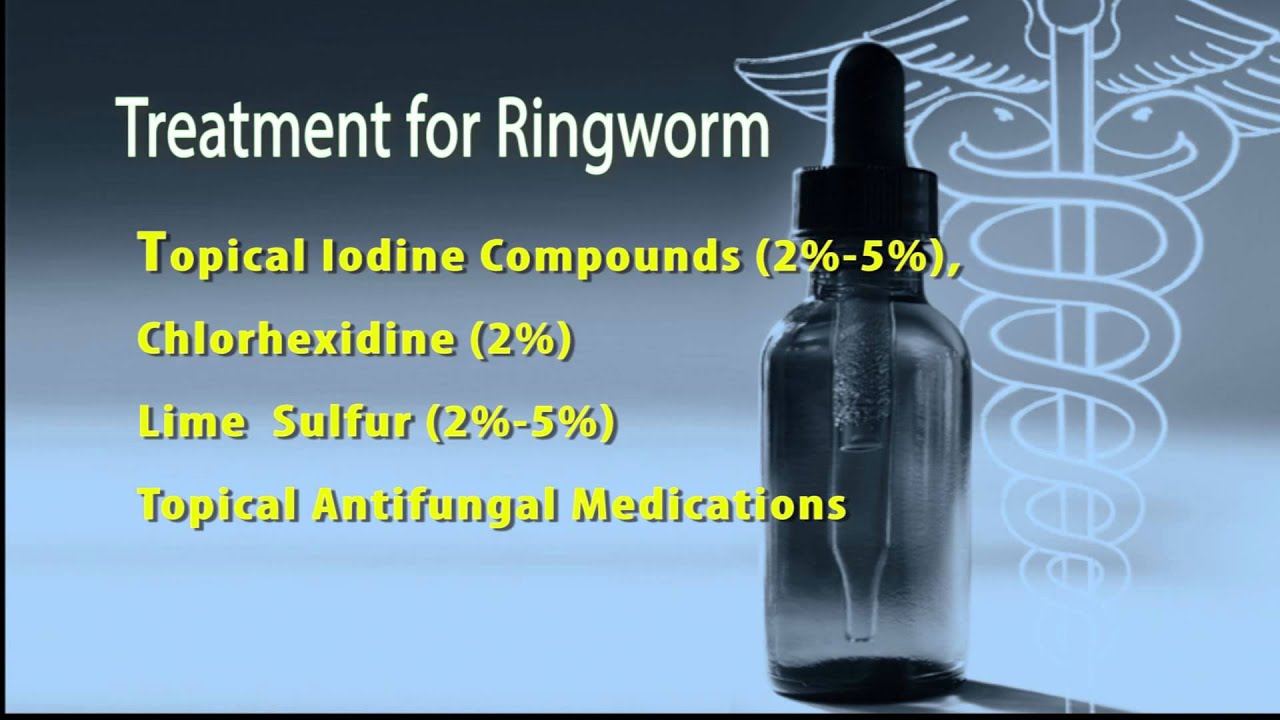 Ringworm Skin Disease in Goats