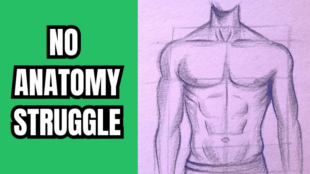 Draw The Male Torso in Minutes | No More Anatomy Struggles | Sketch Tutorial | How to Draw a Body
