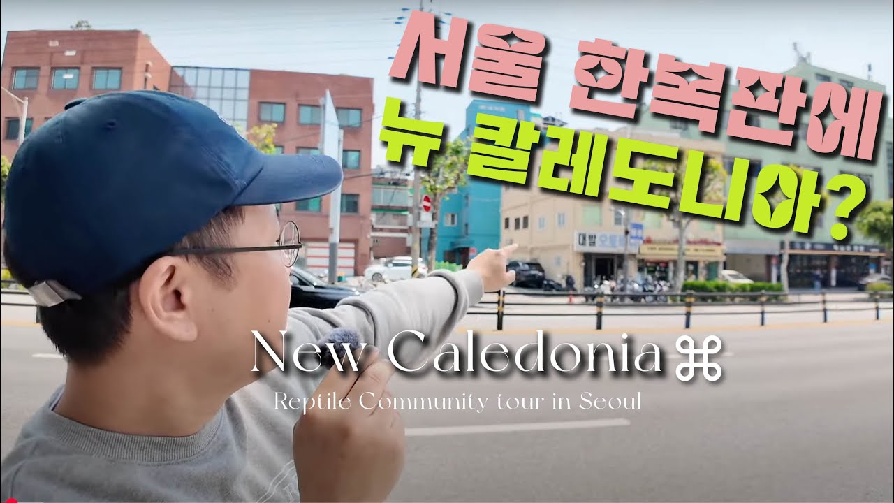 [Shop Visit] They say it's New Caledonia recreated in Seoul...