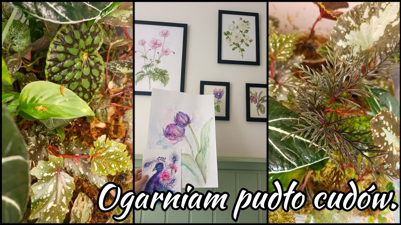 Wiosenna wymianka z Basią ❤️ Ogarniam pudło z sphagnum. 🌱